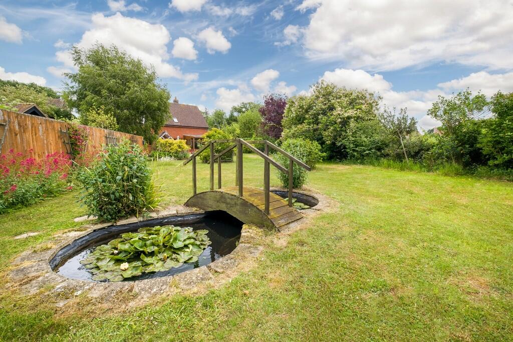 1440px-Hedgehogs-...