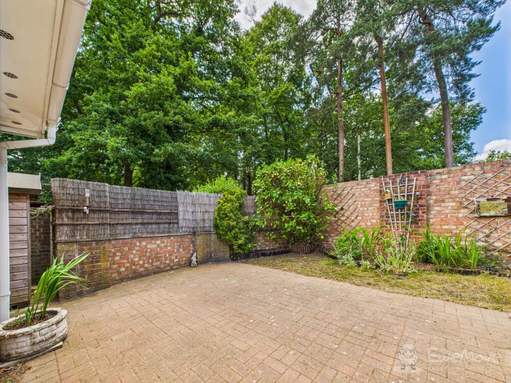 Back Garden