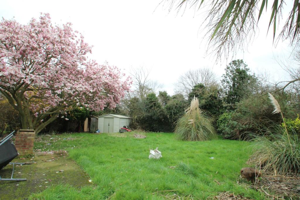 garden 2.JPG