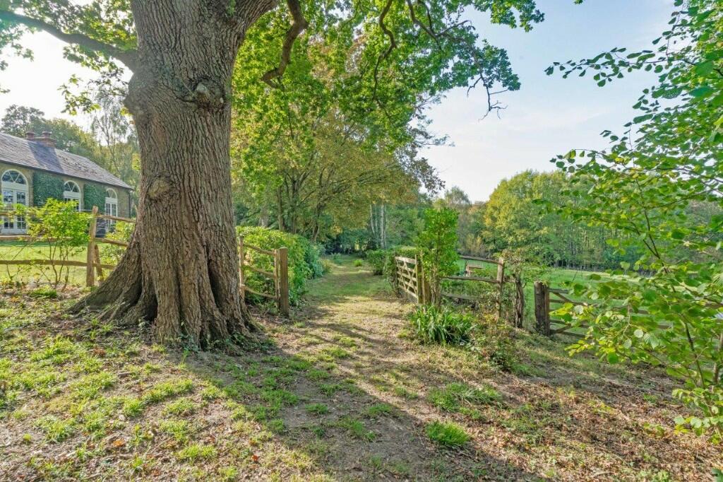 Grounds