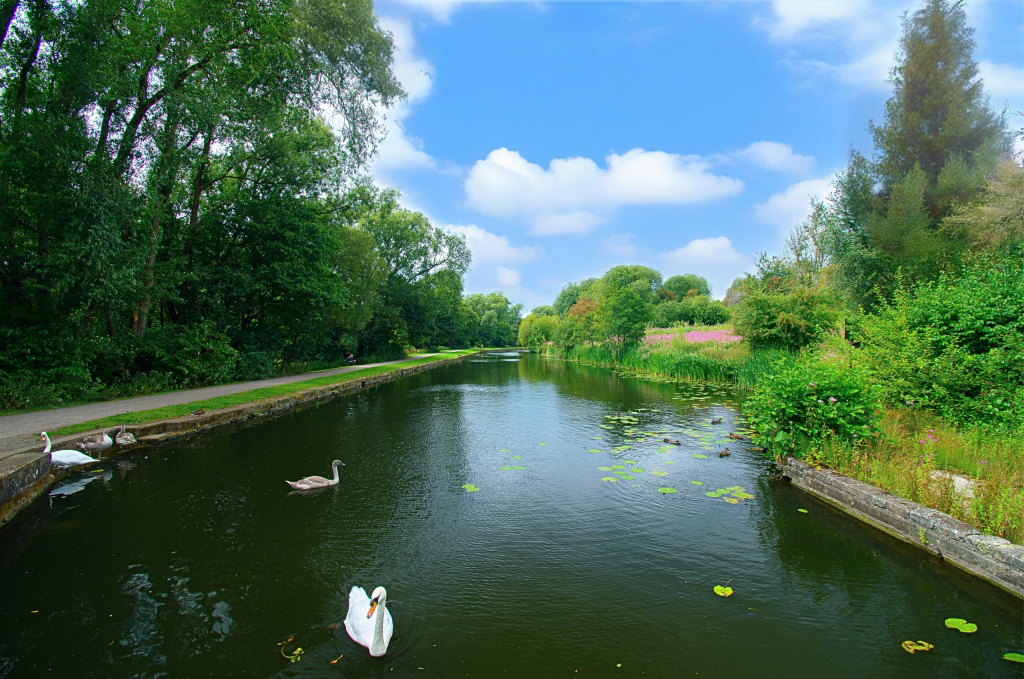 Untitled (5200 x 3900 px) (5200 x 3450 px) (5200 x