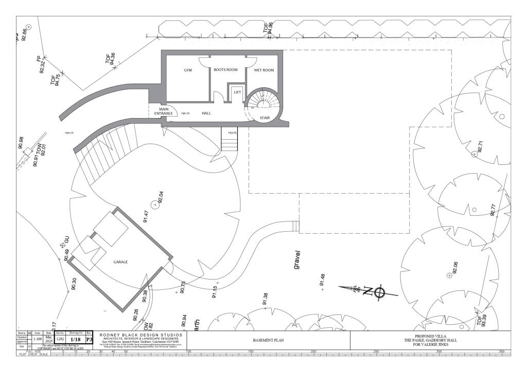 Basement