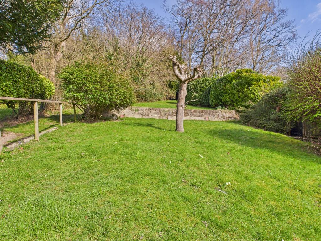 Garden 1