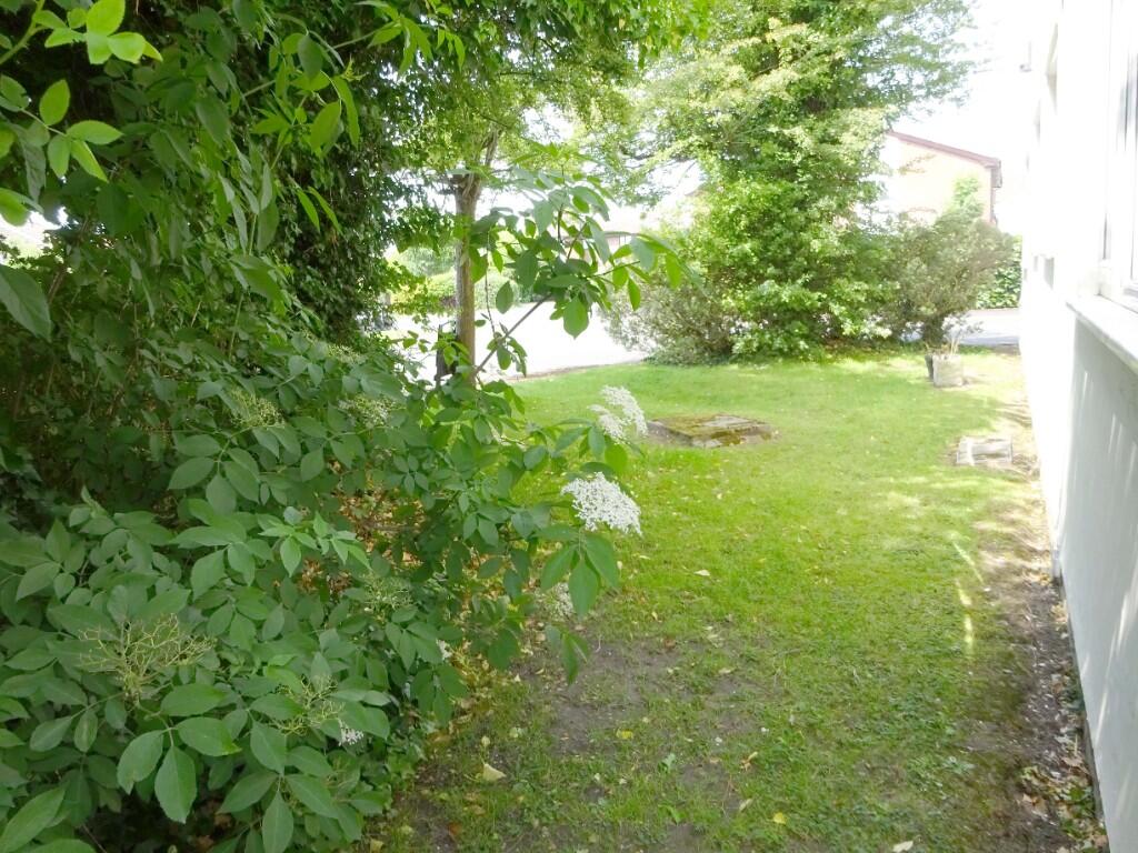 Communal Gardens