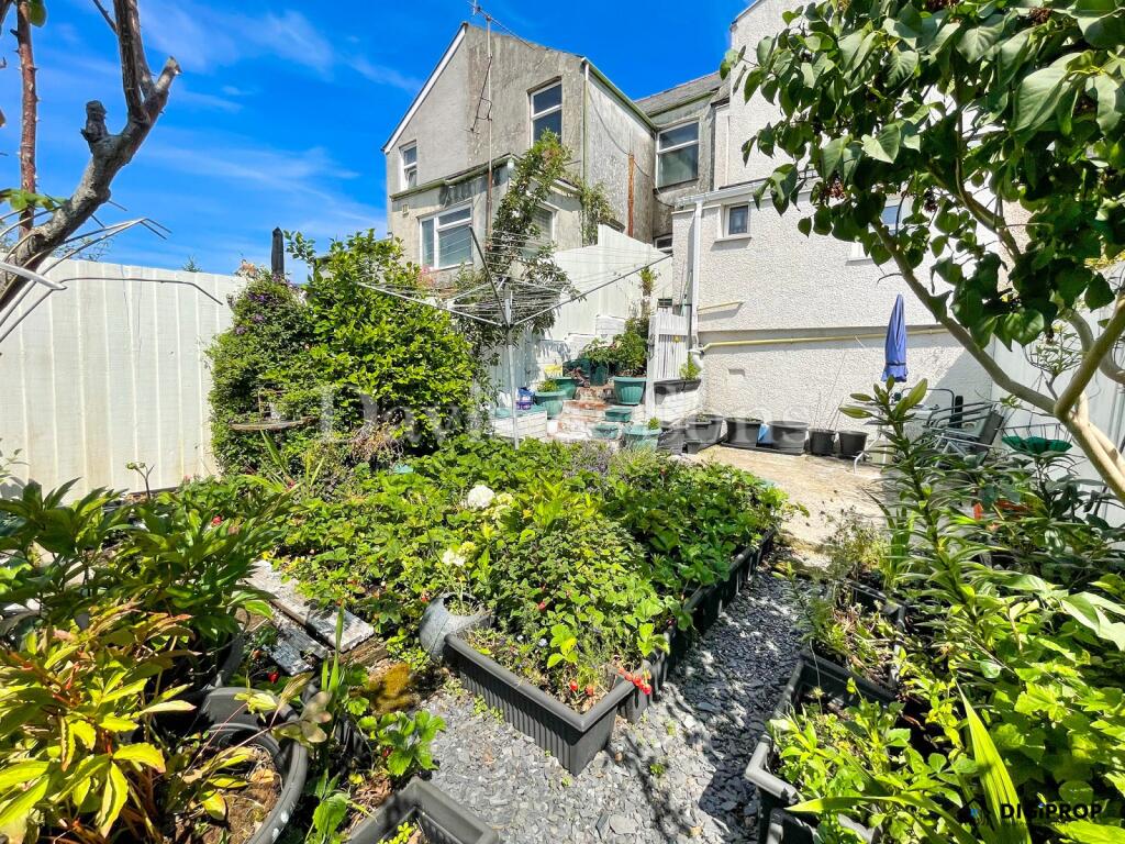Not Specified