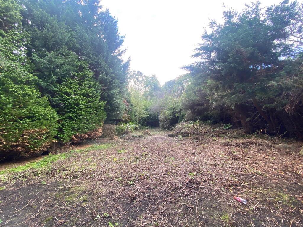garden.jpg