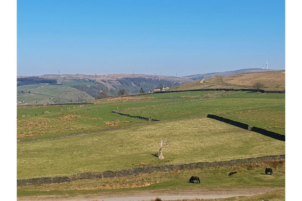 View Of The Property