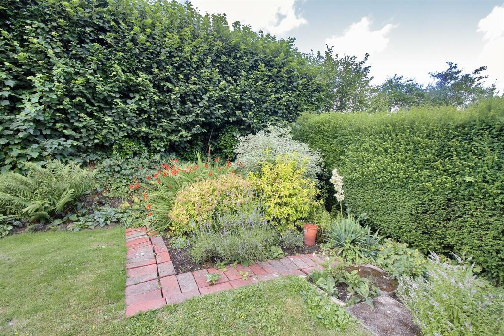 Rear Garden (ii).jpg