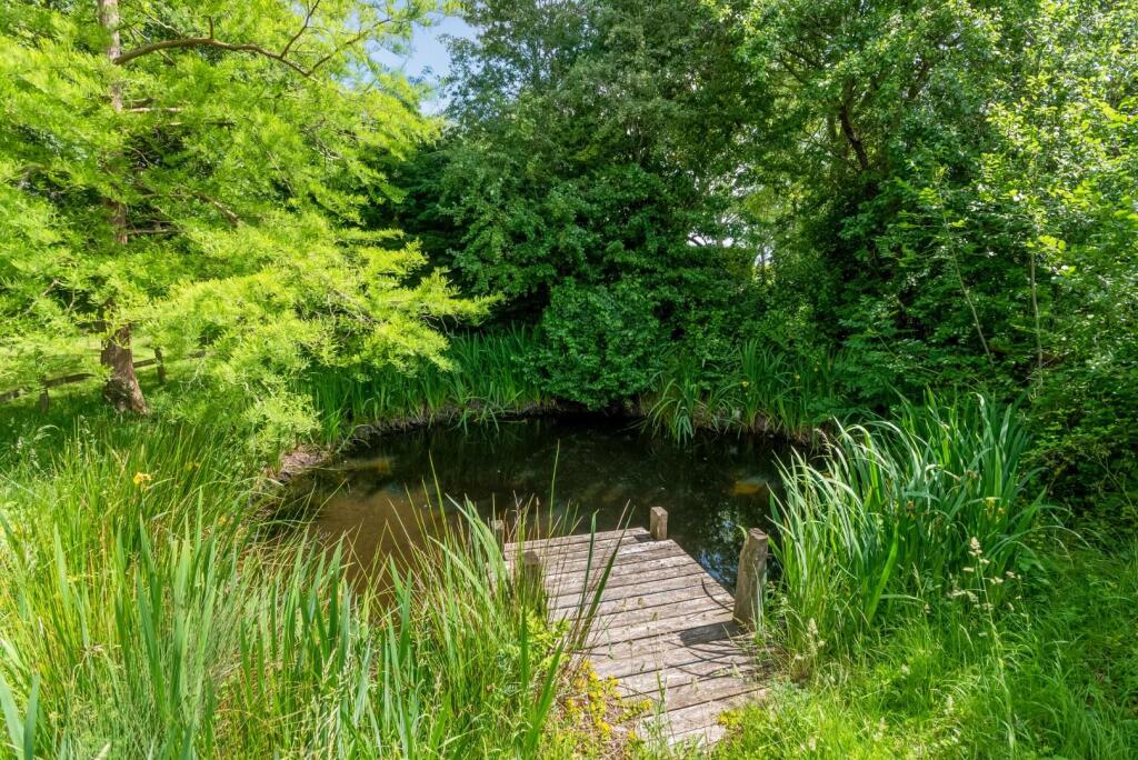 Pond