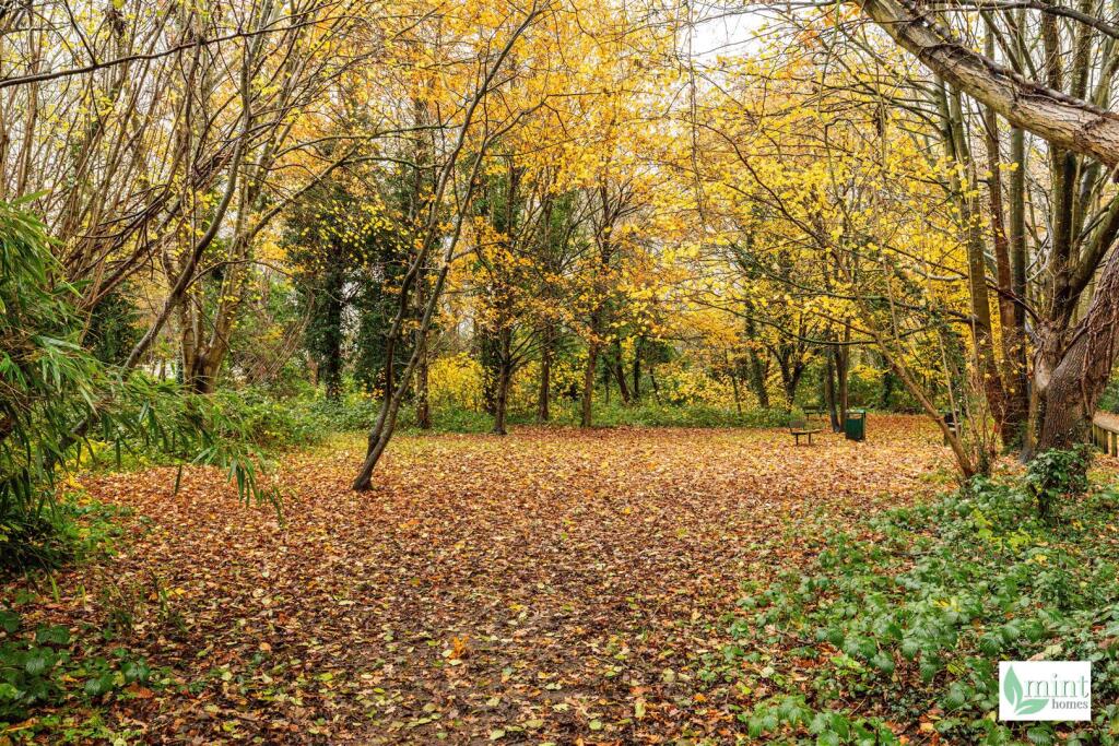 Watermark - 50 Albert Road-30.jpg