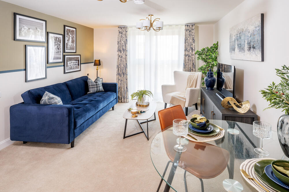 Show home living room