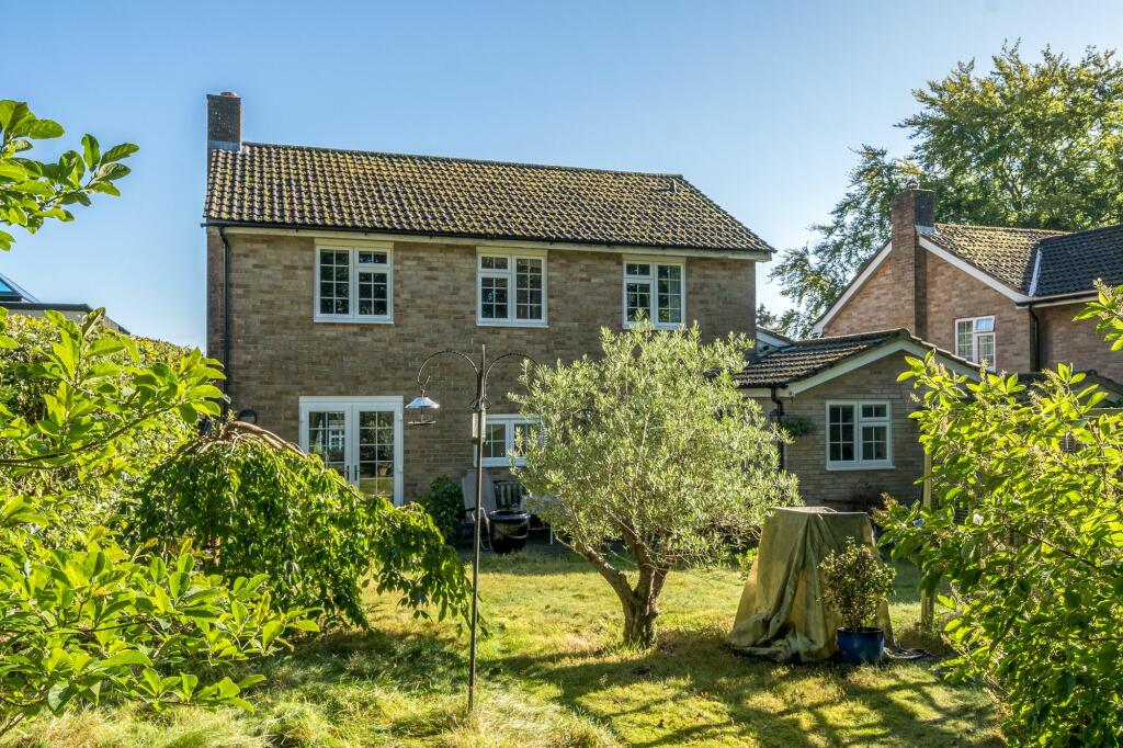 Rear Elevation