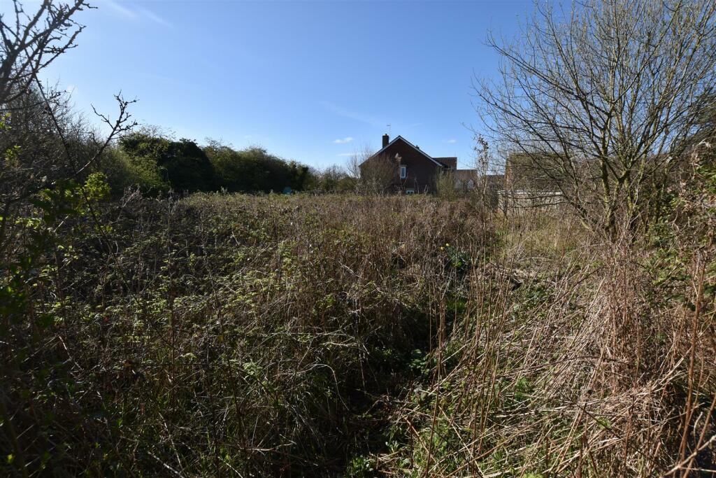 Additional Land.JPG