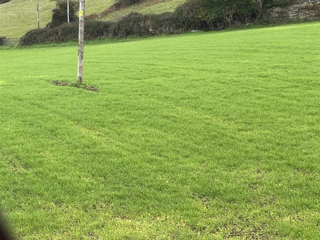 The Briars IMG_8950.jpg