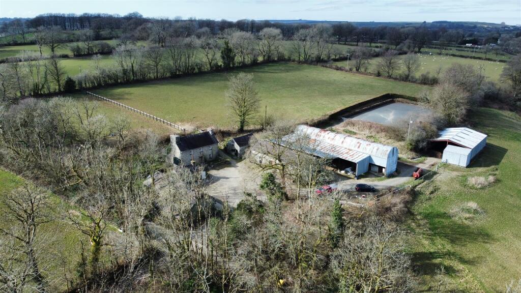 dji_fly_20250311_141752_71_1741702781081_photo_opt