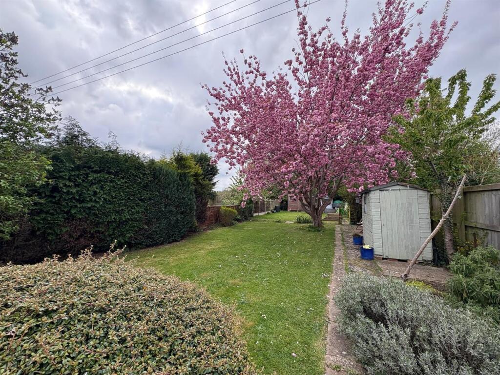 WhatsApp Image 2025-04-15 at 16.39.42_c1192d3d.jpg