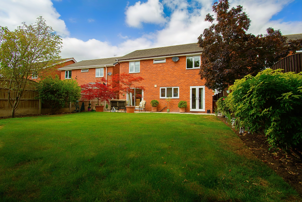 Untitled (5200 x 3900 px) (5200 x 3450 px) (6000 x