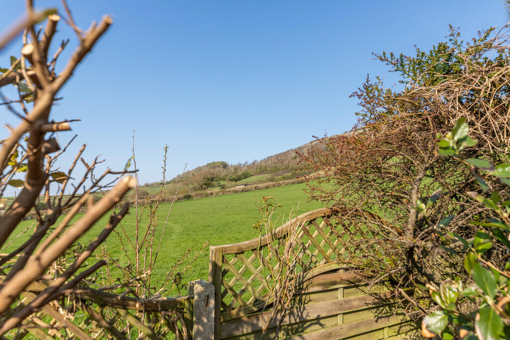 Views From 46 Chu...