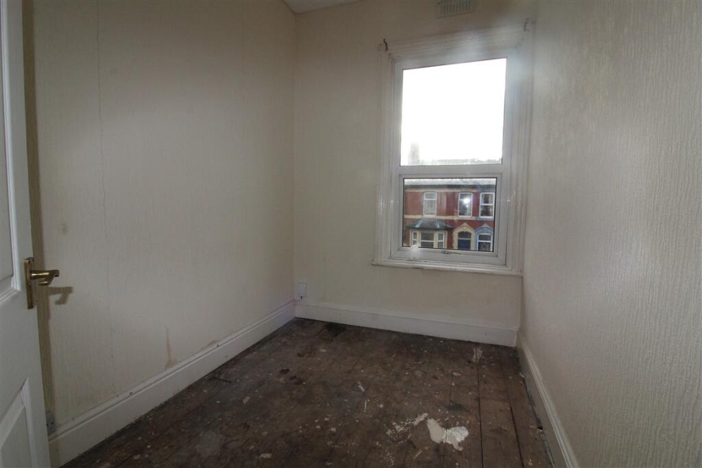 IMG 4280  Medium  T202502031203.jpg