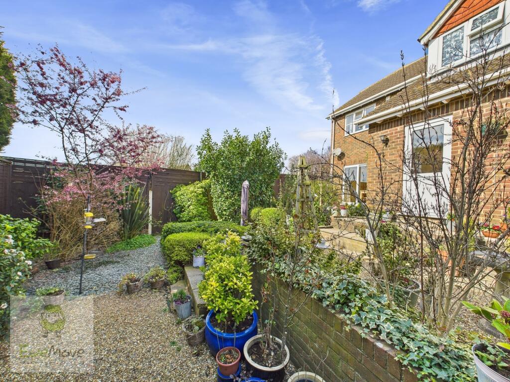 Back Garden