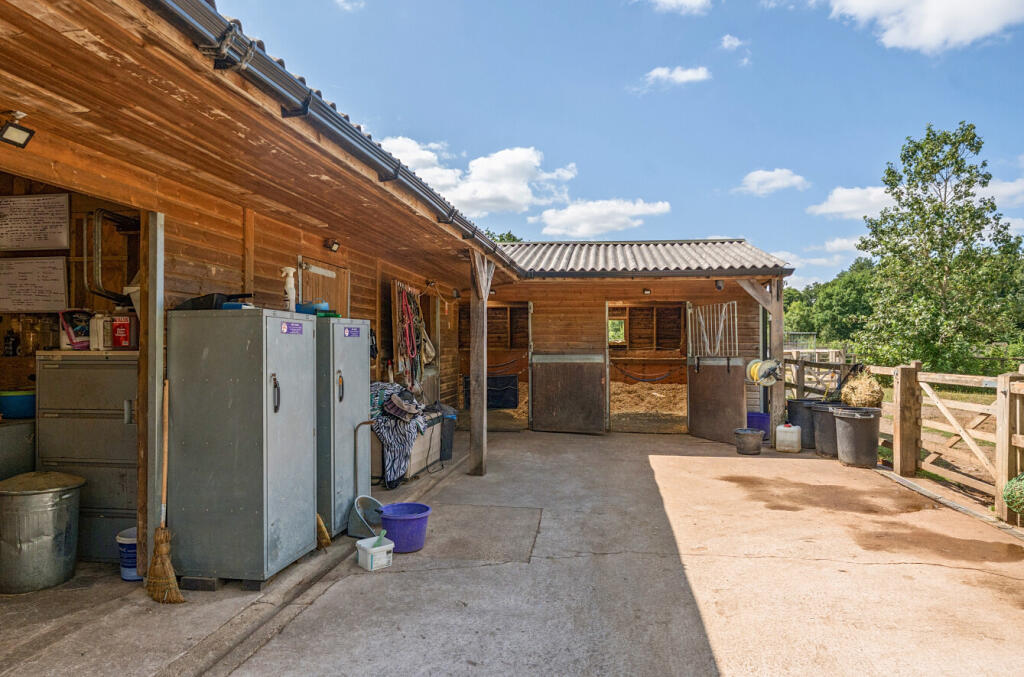 1318781-6-686cf41...