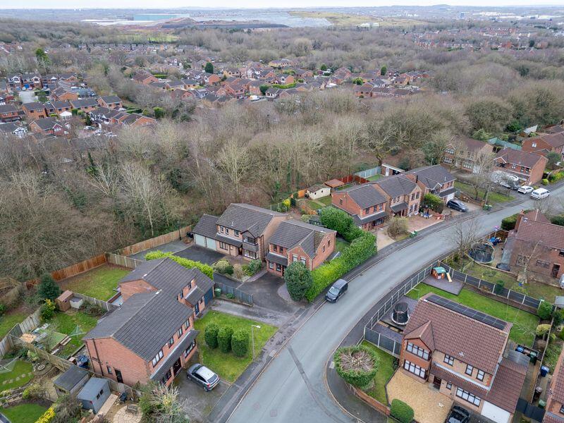 Drone Aerial Shot - 2