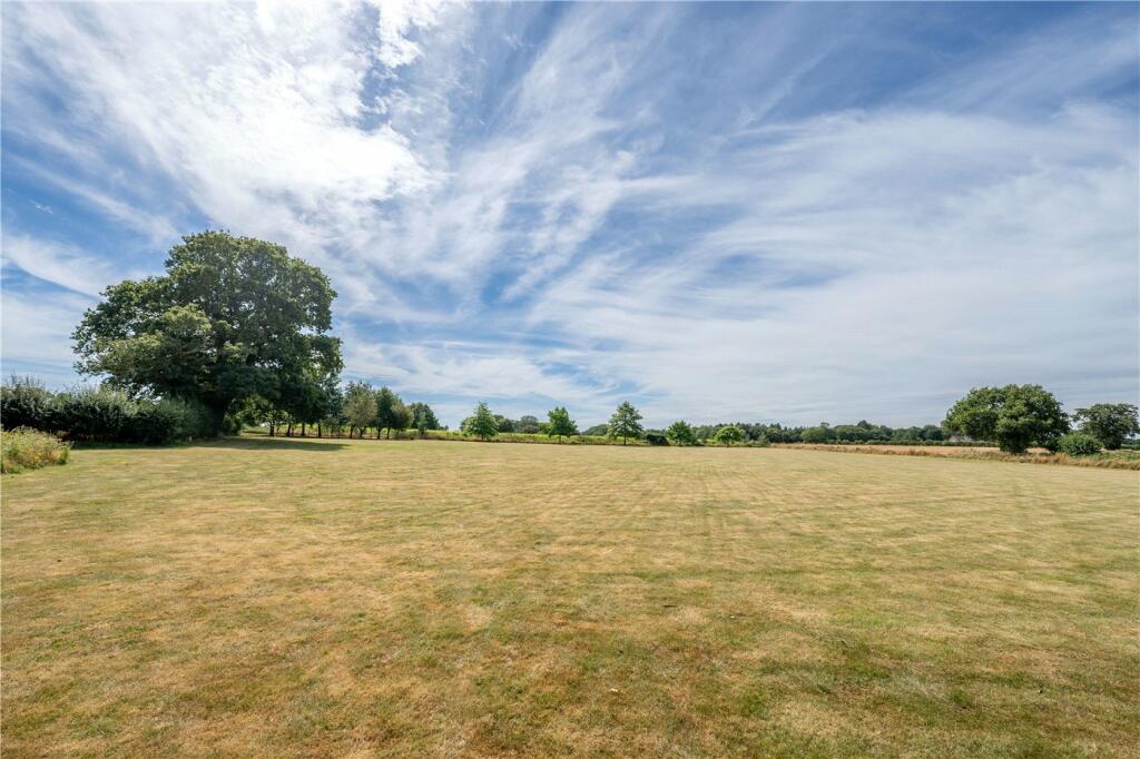 Meadow