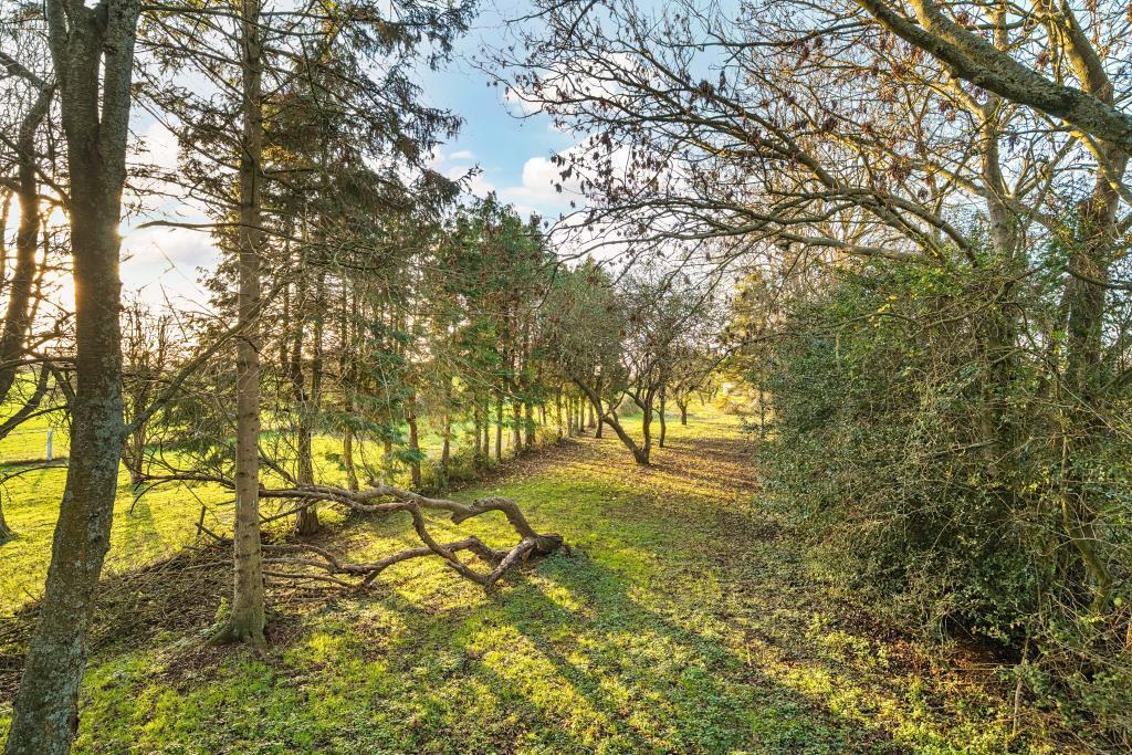 Elevated External Rear Garden