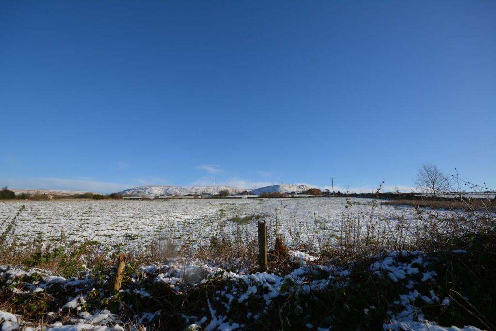 DSC_1157.JPG