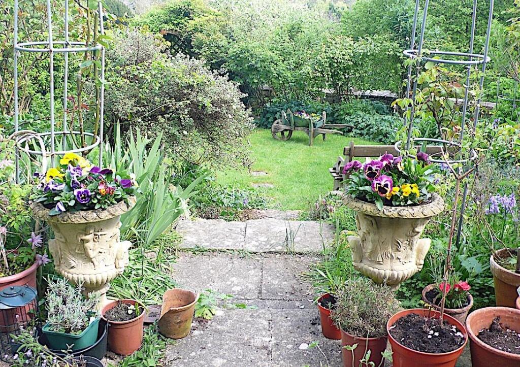 Garden from house copy.jpg