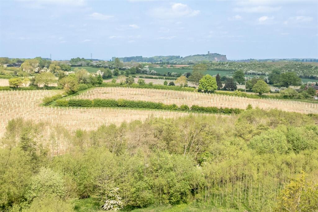 LE65 1RN TBMD-040.jpg