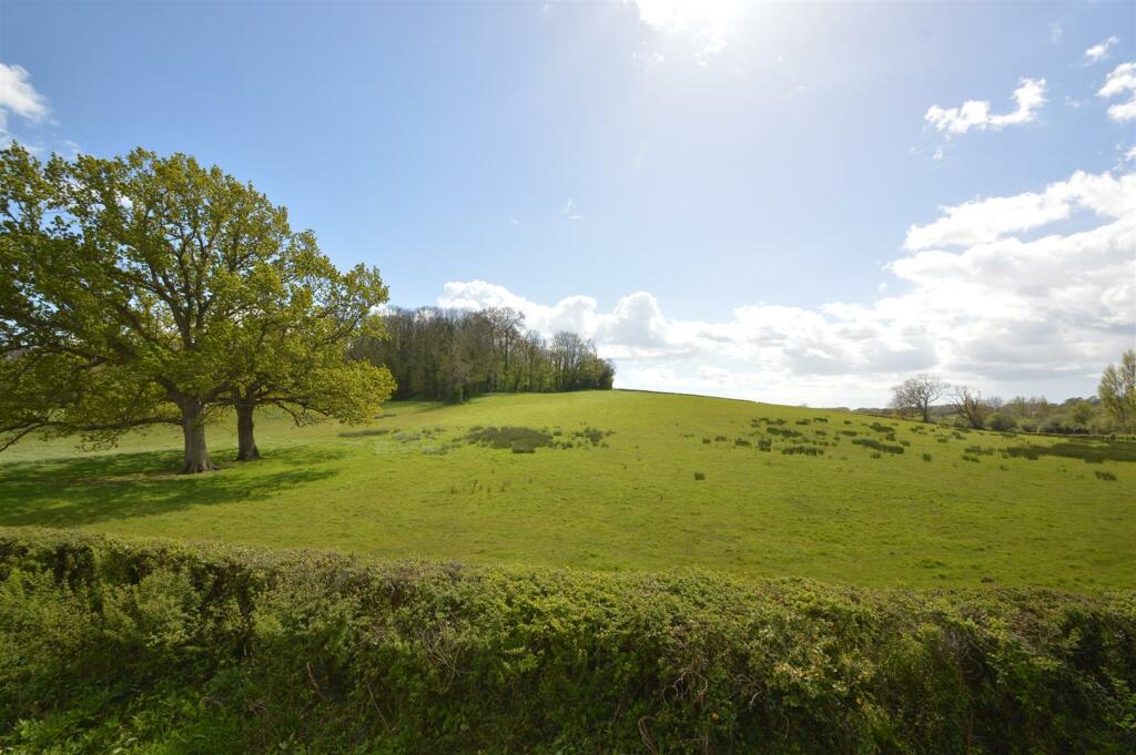 DSC_0483.JPG