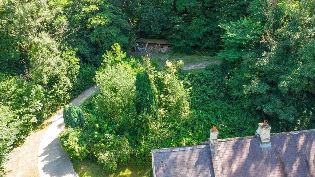 Driveway To The Property