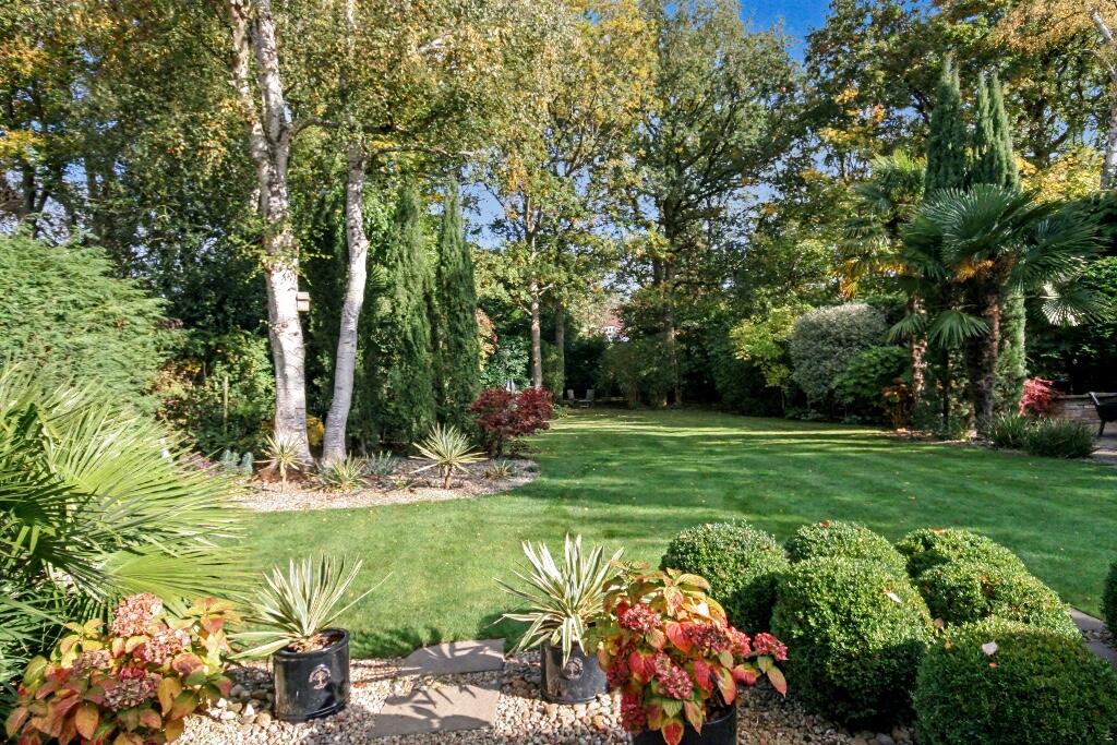 Rear garden
