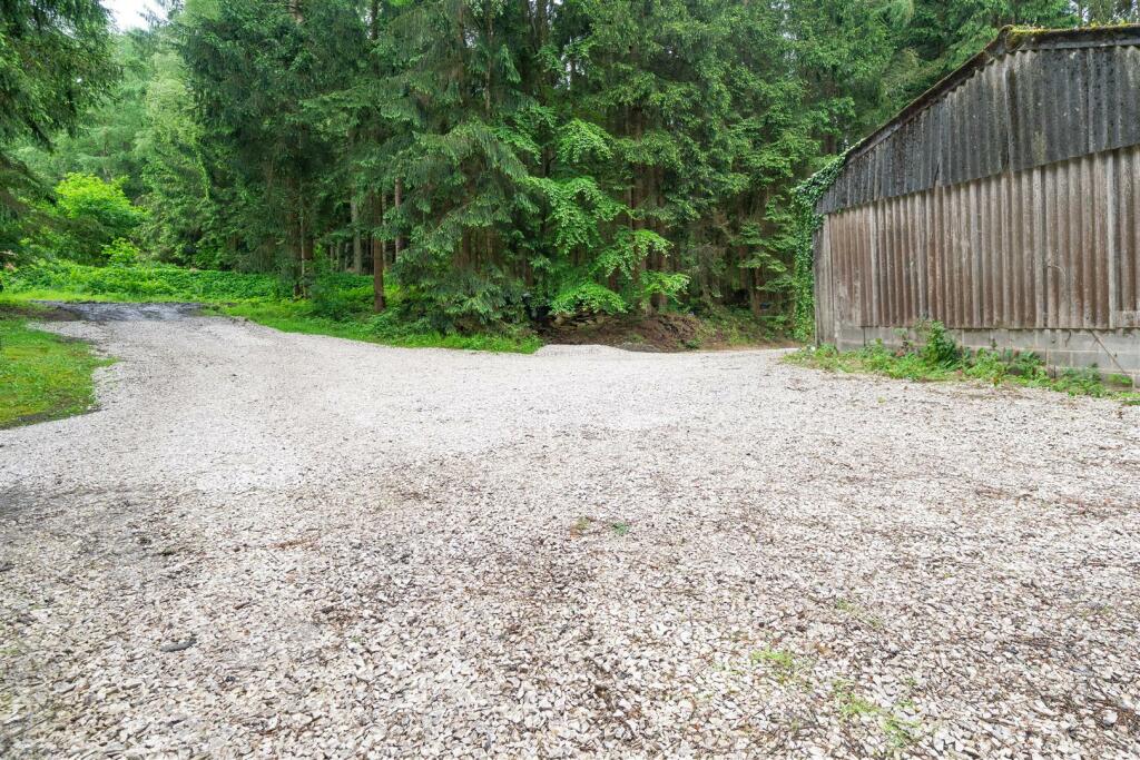 Garden extended-5.jpg