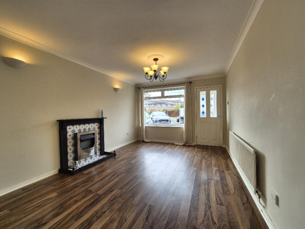 20250728_154712_resized