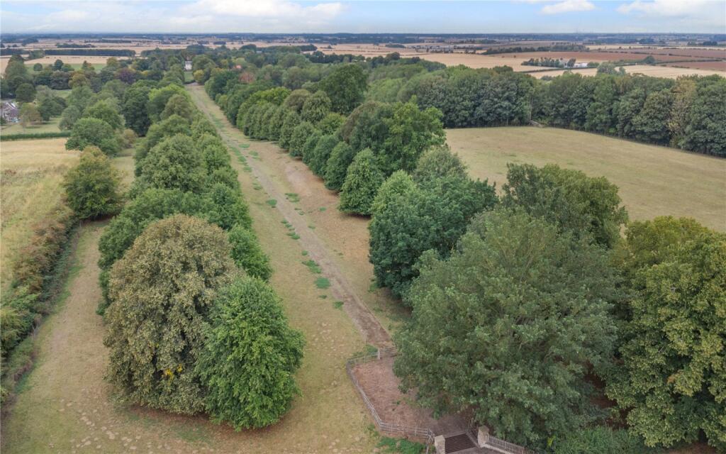The Avenue