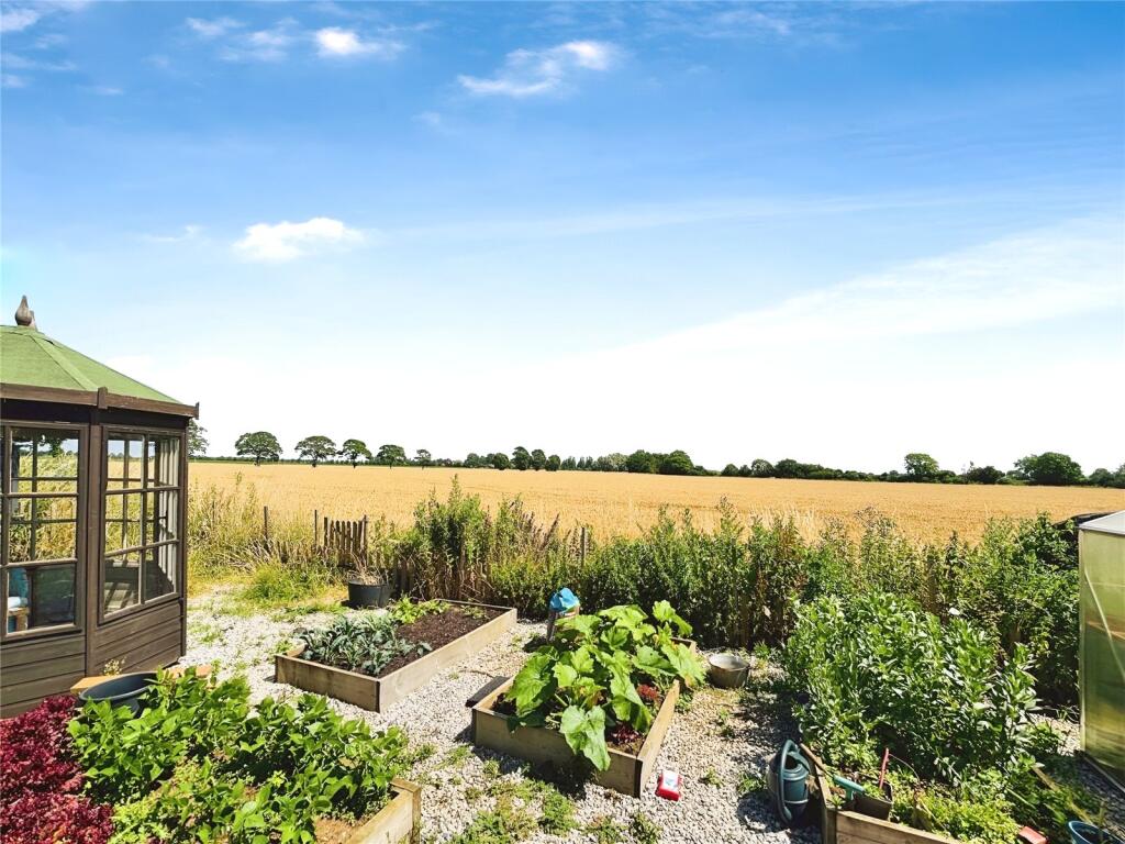 Vegtable Plot