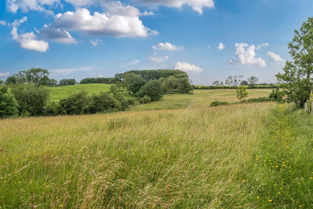 EXTERNAL - PADDOCK/LAND