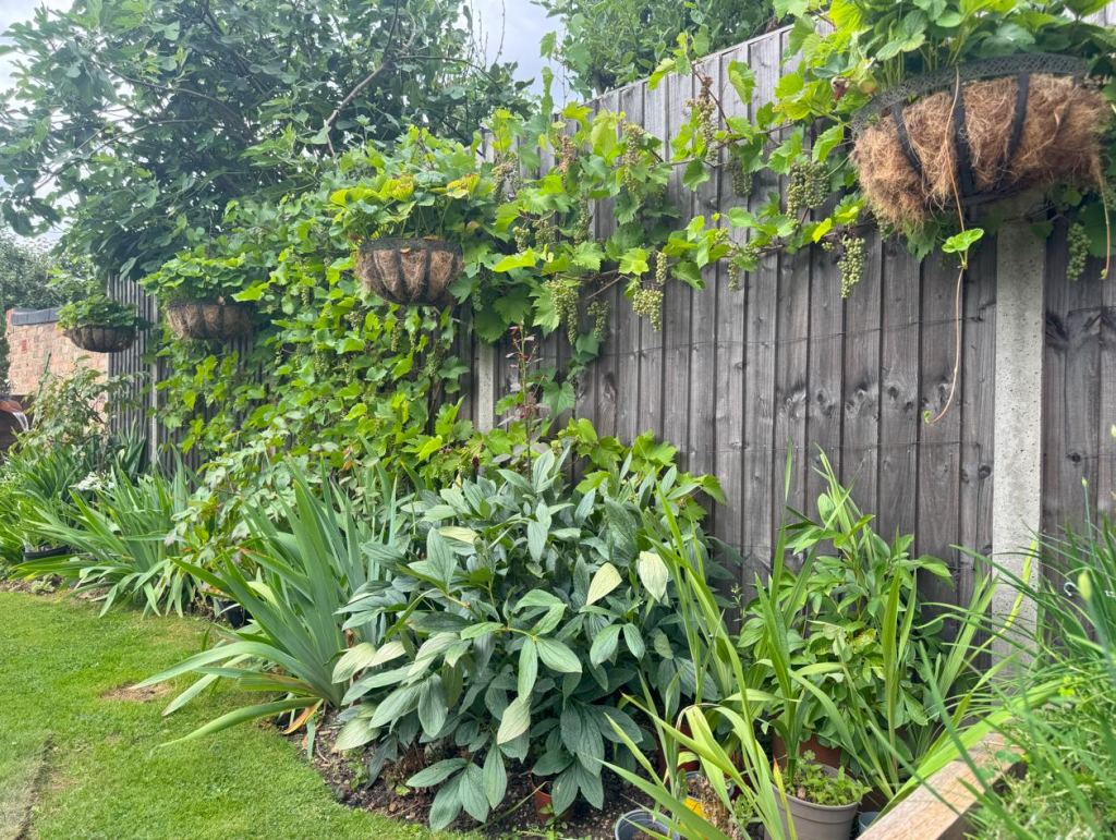 Screenshot 2025-07-21 155706.png