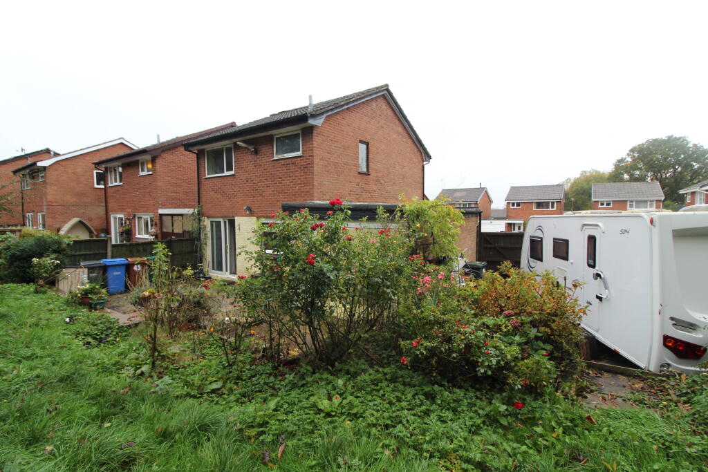 IMG 7037 T202510231138.jpg