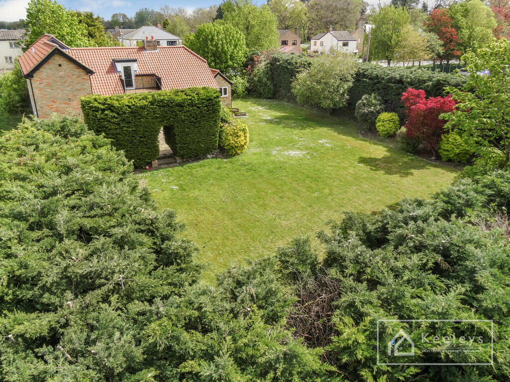 Back Garden