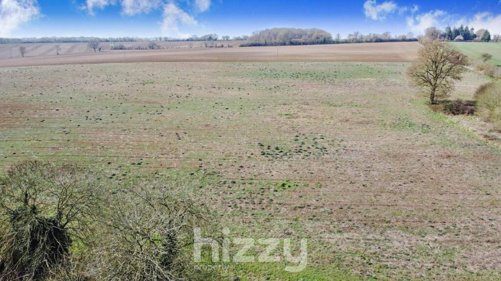 WhatsApp Image 2025-03-21 at 17.35.24_24d747ef.JPG