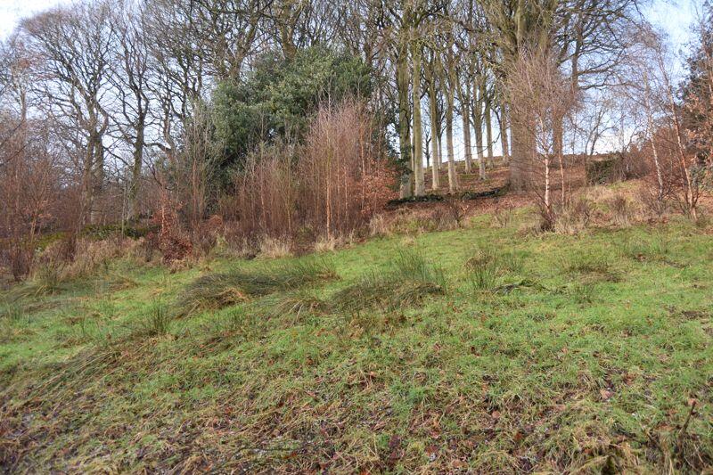 Field &amp; Woodland