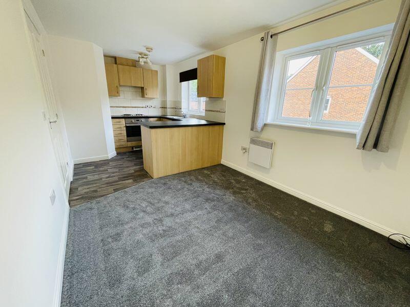 Kitchen/Living/Dining room