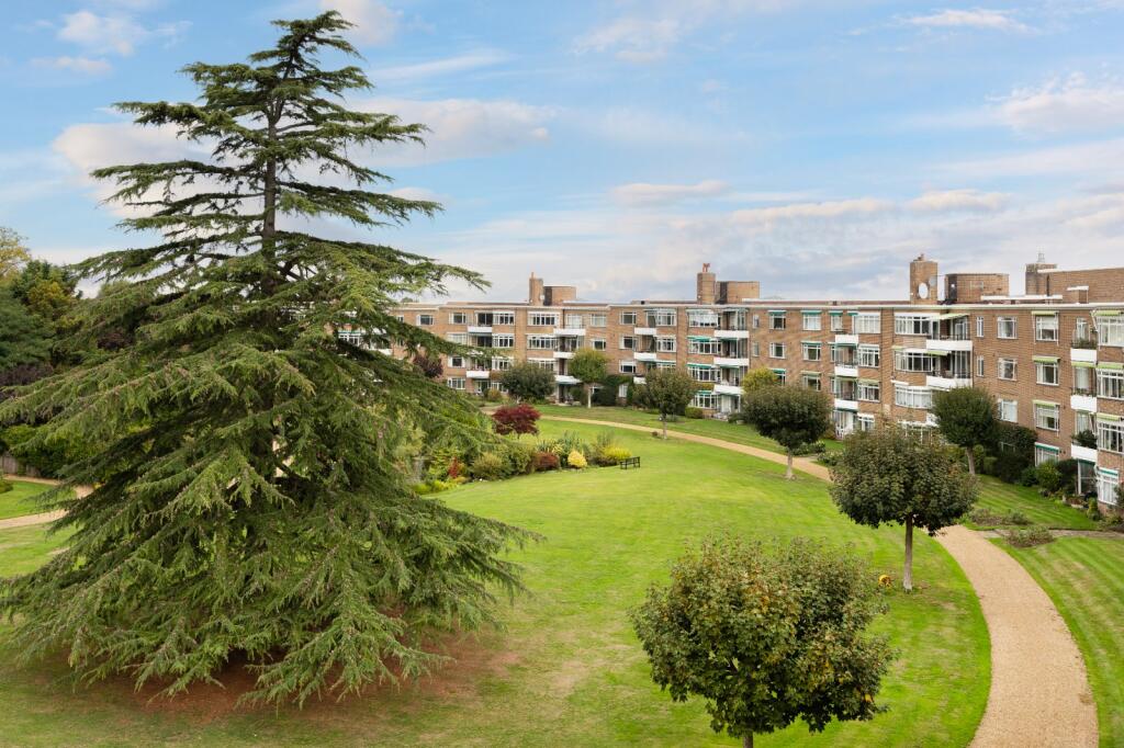 Grounds