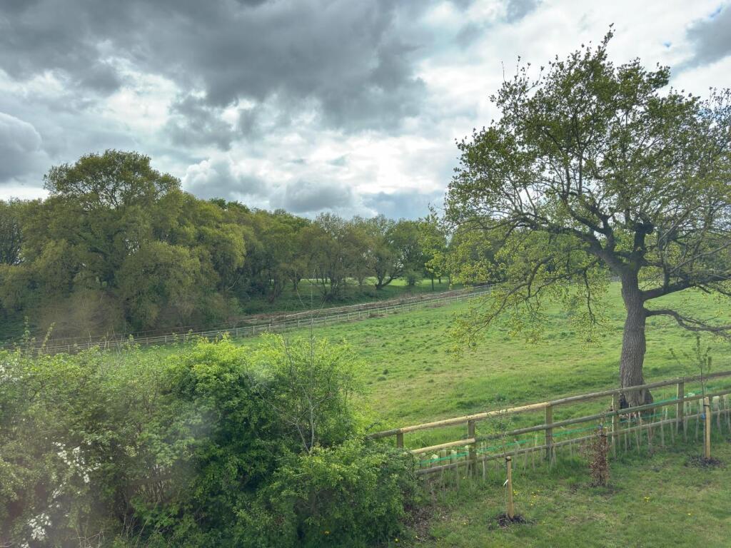 WhatsApp Image 2025-04-23 at 14.56.02_b7a480dd.jpg