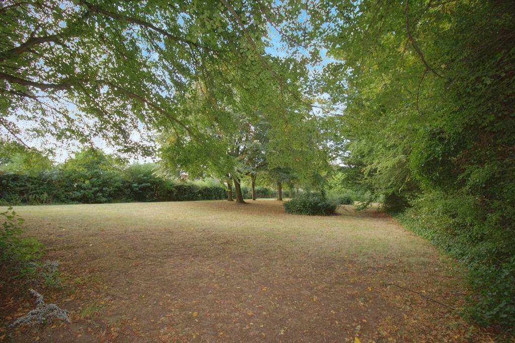 Green spaces