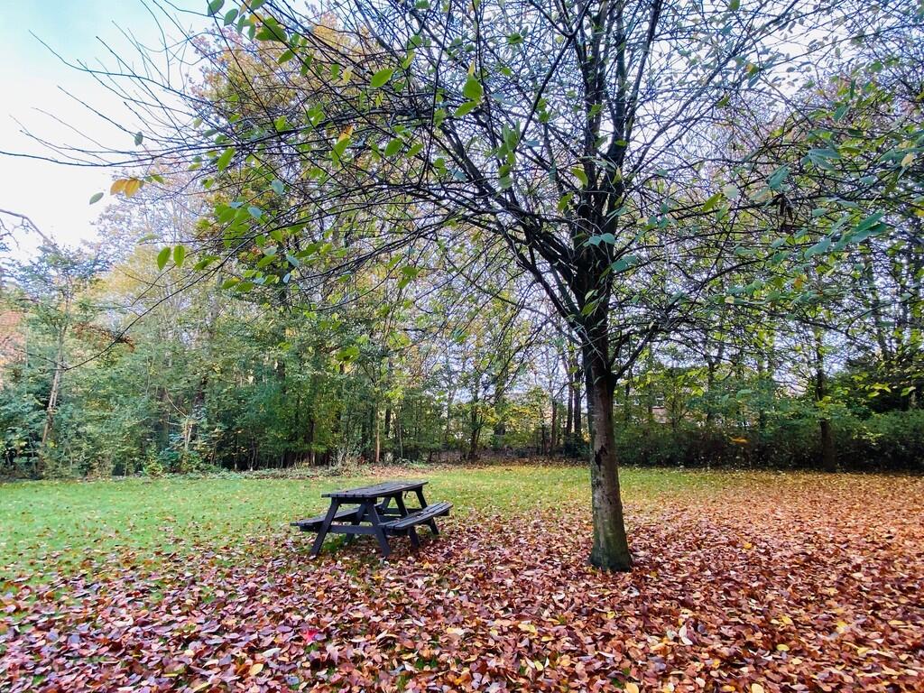 Communal Garden/w...