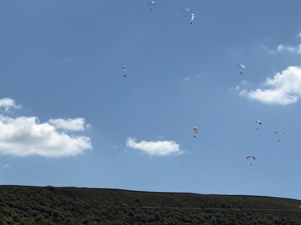 Front Gardens &amp; Driveway